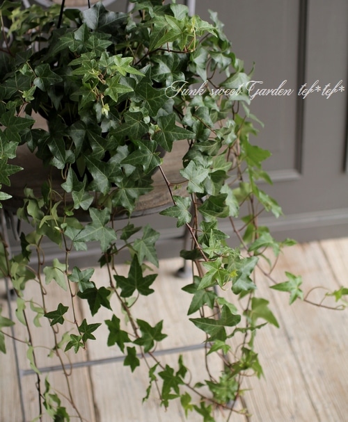 ���󥰻�Ω�ơ��إǥ顡�إ��꡼���