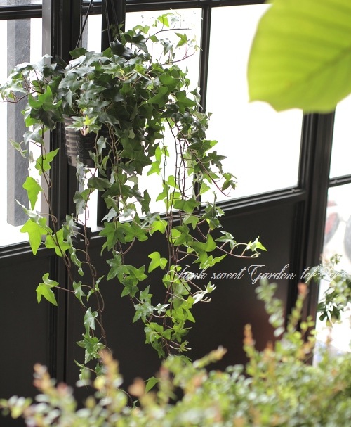 ���󥰻�Ω�ơ��إǥ顡�إ��꡼���