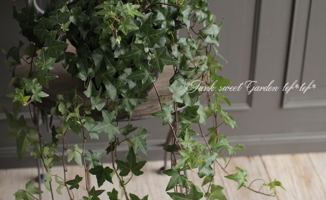 ���󥰻�Ω�ơ��إǥ顡�إ��꡼���