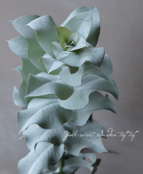 �桼����  �إޥ�������ѡ�