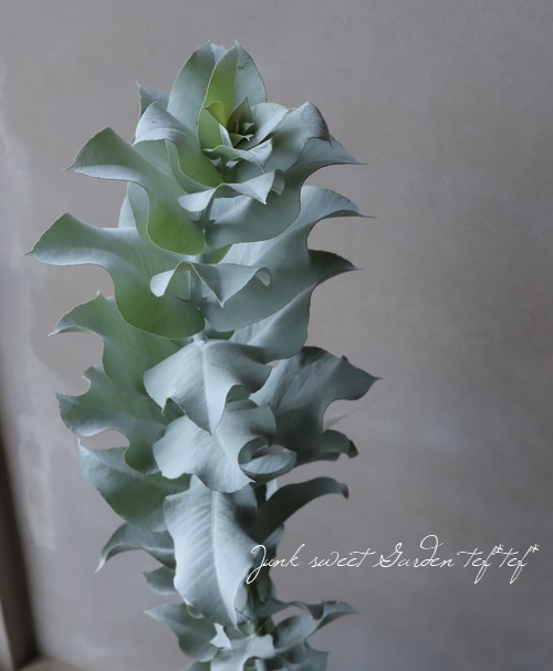 �桼����  �إޥ�������ѡ�