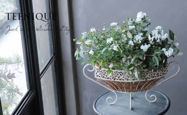 Ȭ�ź餭���ȥå�  �إϥ����֥�ۥ磻�ȡ�