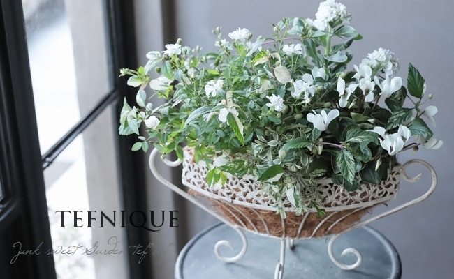 Ȭ�ź餭���ȥå�  �إϥ����֥�ۥ磻�ȡ�