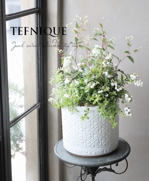 Ȭ�ź餭���ȥå�  �إϥ����֥�ۥ磻�ȡ�