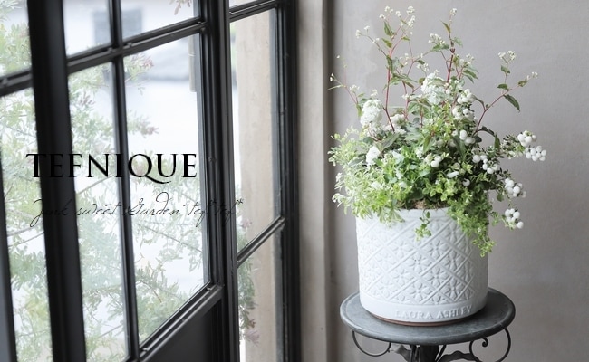 Ȭ�ź餭���ȥå�  �إϥ����֥�ۥ磻�ȡ�