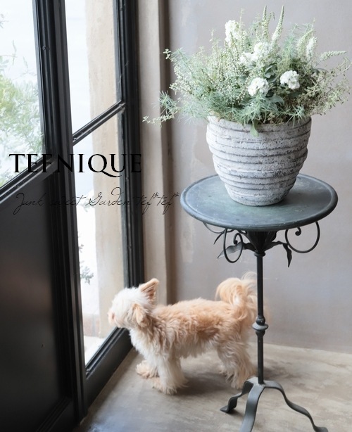 Ȭ�ź餭���ȥå�  �إϥ����֥�ۥ磻�ȡ�