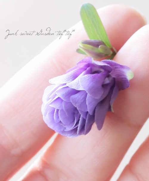 �ھ�����ݥ��ꥸ�ʥ�� ɱ�����ޥ� ��Ȭ�ť֥롼��