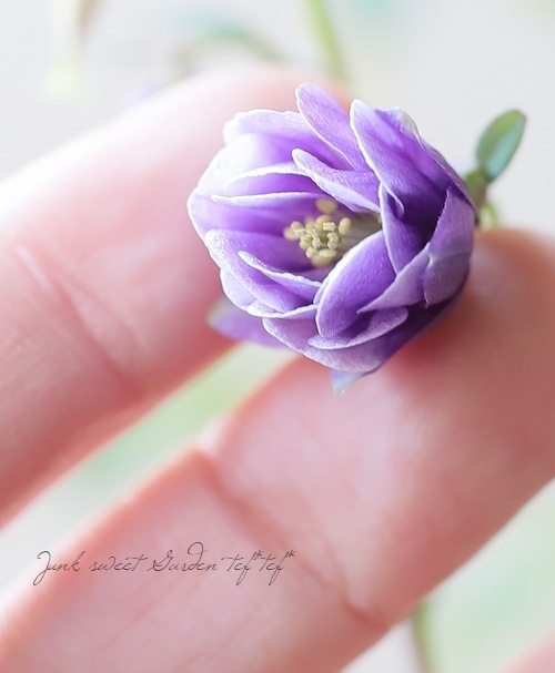 �ھ�����ݥ��ꥸ�ʥ�� ɱ�����ޥ� ��Ȭ�ť֥롼��