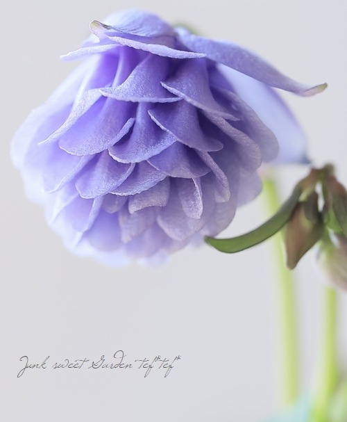 �ھ�����ݥ��ꥸ�ʥ�� ɱ�����ޥ� ��Ȭ�ť֥롼��