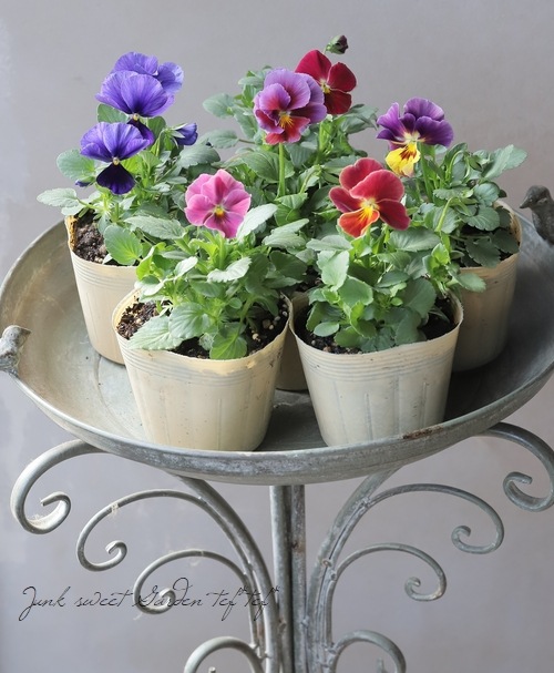 バンデルオーラ　各種 B-1 Hover / BANDERUOLA バンデルオーラ | DEKKA shizendo