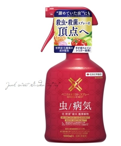 �ڻ�����ݺޡۥ٥˥�X�ͥ����ȥ��ץ졼 1000��L