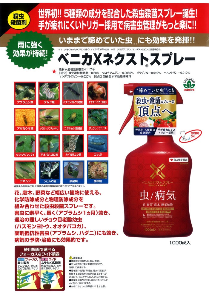 �ڻ�����ݺޡۥ٥˥�X�ͥ����ȥ��ץ졼 1000��L