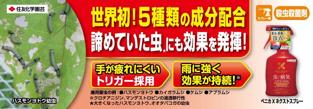 �ڻ�����ݺޡۥ٥˥�X�ͥ����ȥ��ץ졼 1000��L