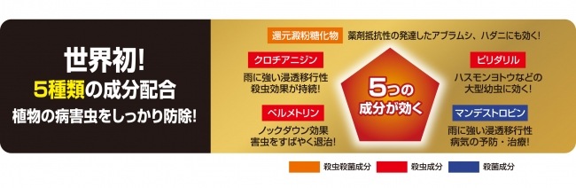 �ڻ�����ݺޡۥ٥˥�X�ͥ����ȥ��ץ졼 1000��L