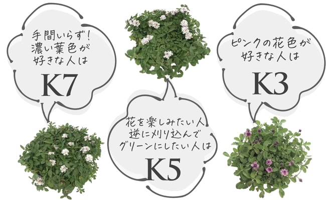 �ںǶ������ɥ��С��ۥ�����쥽�� �إ���ԥ��� K5 40�ġ�10��Ŭ�̡�