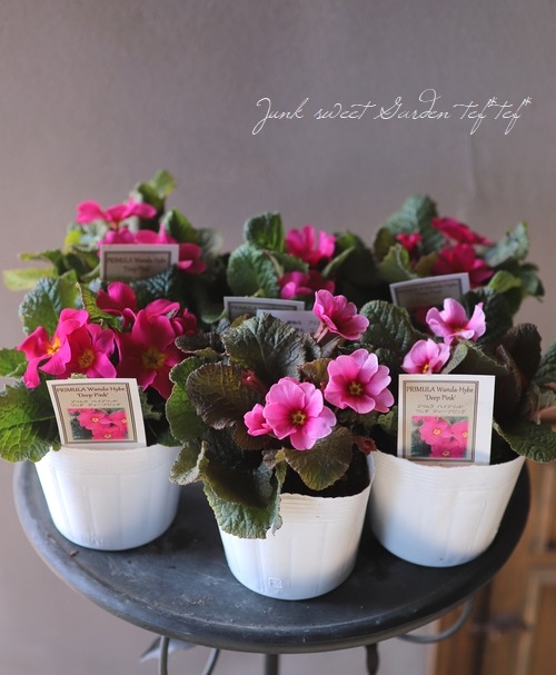 primroseさまご購入品　リメイク　一輪挿し　 紫花とバタフライ primroseさまご購入品 リメイク 一輪挿し 紫花とバタフライ