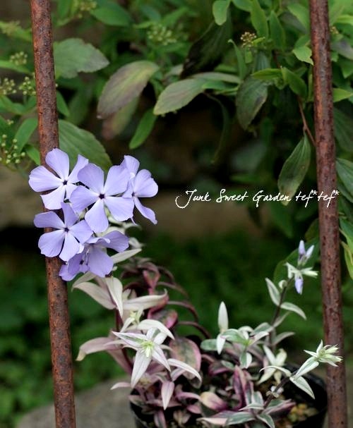 �ɺ������������ե��å������إ��ȥ������ȥꥫ�顼��