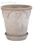 �ڻ��ߡ� �̲�Bergs Potter �� Elizabeth���꡼�� �ڥ��졼�� ��18cm �������դ�