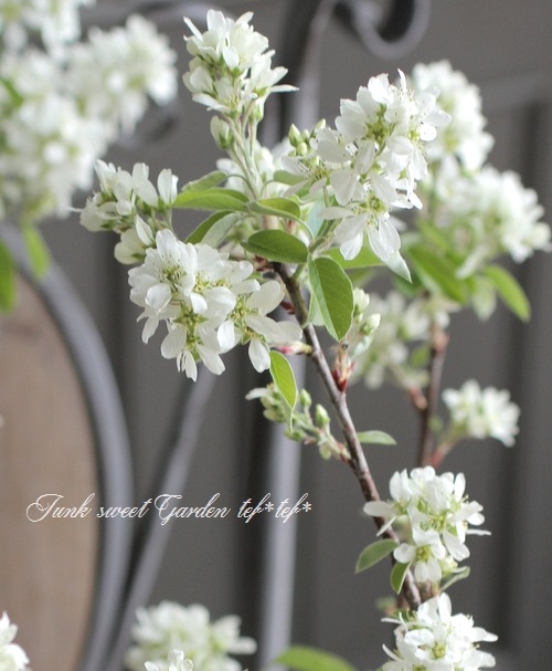 ڲ̼ Ǿѥʼ塼٥꡼إ꡼ȡ