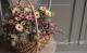 tef*tef*�󤻿��� 2017<BR> * no.17 *<BR>������ݤ���Υ����ƥ����ڥ�ޥ�