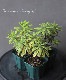 �桼�ե���ӥ����إ�����ǥ�쥤��ܡ���