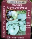 �֥��ͥ顡�إ�å��󥰥��饹�� �����Ǥ���