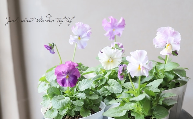 3_000000010217.jpg?1678209903