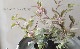 ������缰�� �ػ硹�硼������饵������