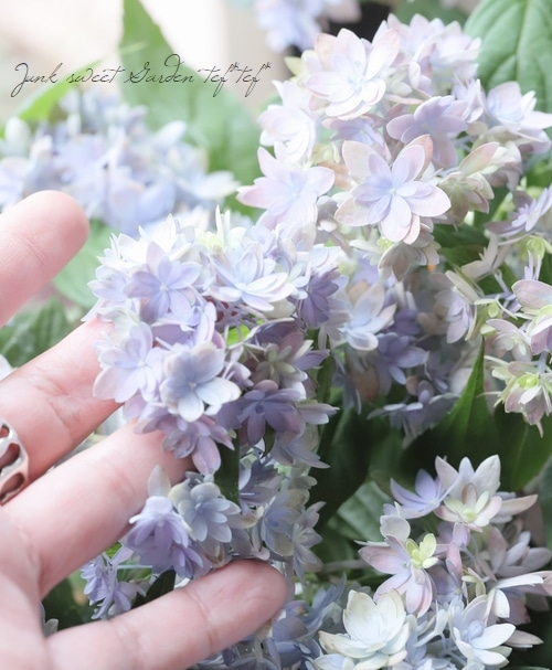 夏☀︎SALE！ユーカリと紫陽花のラベンダーカラーハーフリース　バラプルモルサ 夏☀︎SALE！ユーカリと紫陽花のラベンダーカラーハーフリース