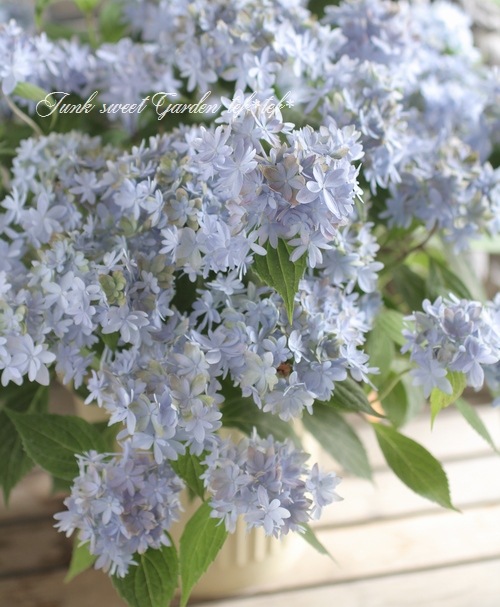 夏☀︎SALE！ユーカリと紫陽花のラベンダーカラーハーフリース　バラプルモルサ 夏☀︎SALE！ユーカリと紫陽花のラベンダーカラーハーフリース