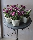 �ڲ�˧���ꥸ�ʥ�� Ȭ�ź餭�ڥ���˥�������ꥨ�åȡ��إ����磻��١�