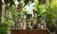 �ڻ��ߡ��̲�Bergs Potter �� Julie���꡼�� �ڥ��졼�� ��17cm �������դ���������
