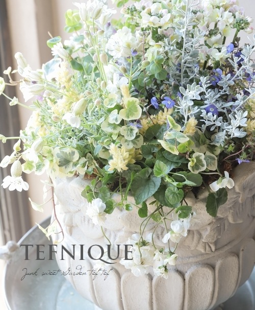 �����ꥷ��͡���˥ե����� �إɥ������