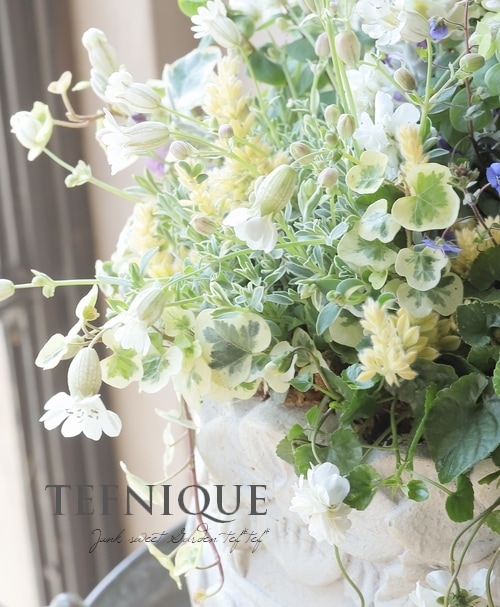 �����ꥷ��͡���˥ե����� �إɥ������