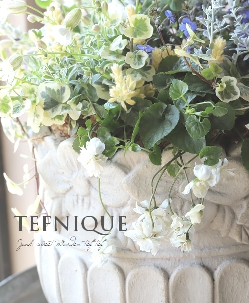 �����ꥷ��͡���˥ե����� �إɥ������