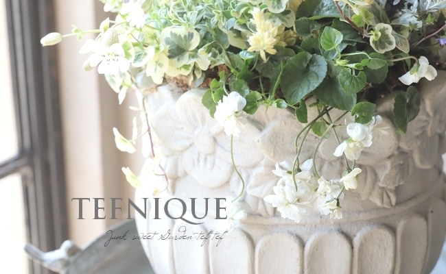 �����ꥷ��͡���˥ե����� �إɥ������