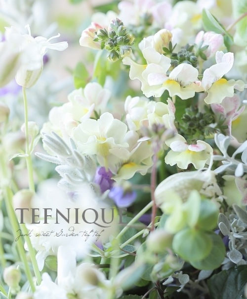 �����ꥷ��͡���˥ե����� �إɥ������