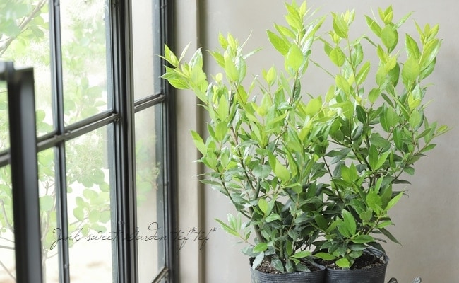 20_000000021418.jpg?1727942672