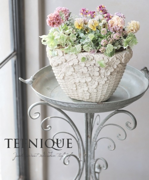 ○佐藤さん育種・個性派パンジー・ローヴ・ドゥ・アントワネット