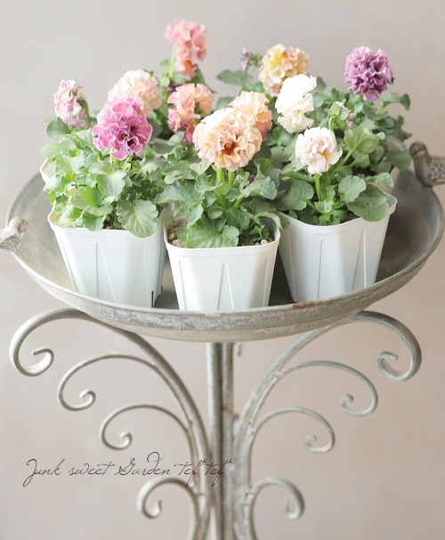 アントワネット フラワーアレンジメント 特大サイズ ロココ アントワネット フラワーアレンジメント 特大サイズ ロココ