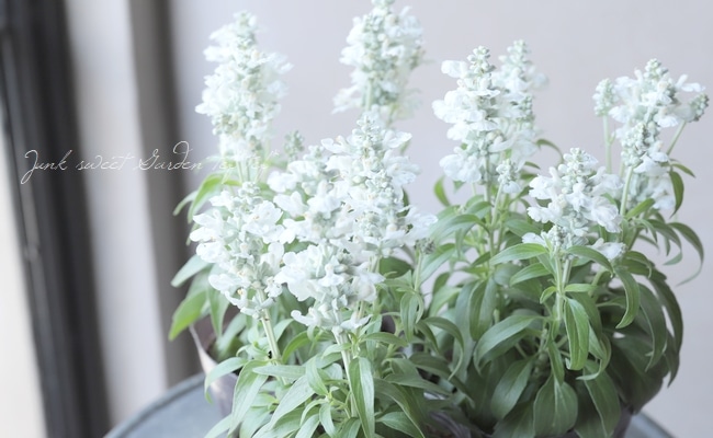 5_000000016018.jpg?1622336197