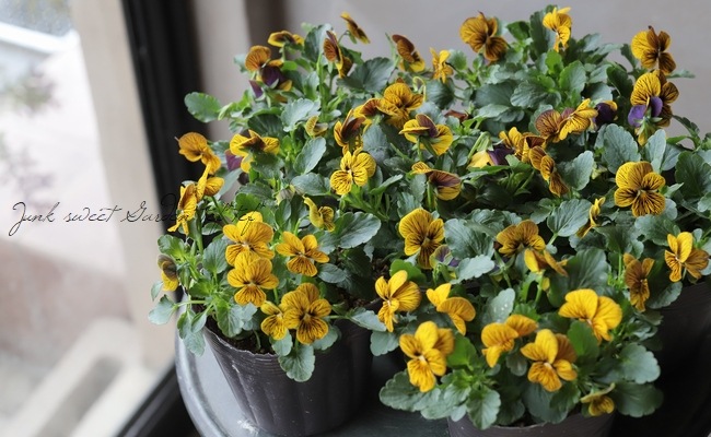 8_000000016718.jpg?1678209903