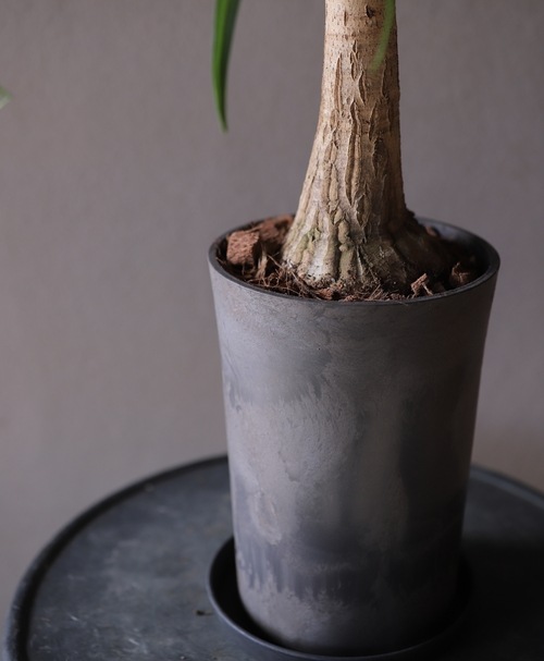 �ȥå����󡡡إ֥��˥������ƥޥ�󥷥��١�