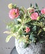 ���Υ���ʥ�ƥ󡡡إ륳�ơ��쥤��ܡ���