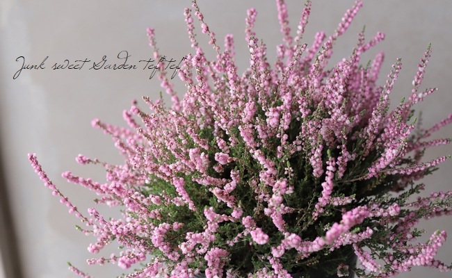 Ȭ�ź餭���롼�ʡ�No.F