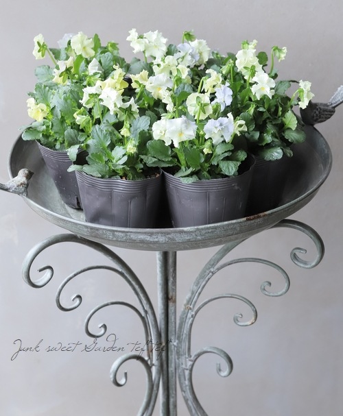 ���ߤ�ȥե��ѥ󥸡� �إ��㥤�ˡ����֥롼��