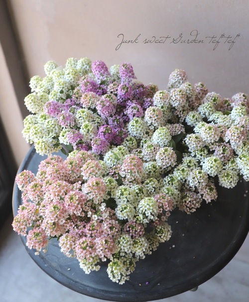 �������ȥ���å��ࡡ�إѥ��ƥ�MIX��