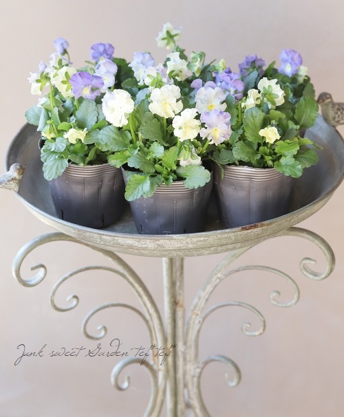 ���ߤ�ȥե��ѥ󥸡� �إ��㥤�ˡ����֥롼��