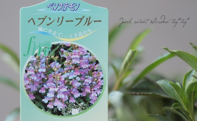 ڥ󥹥ƥ󡡡إإ֥꡼֥롼 