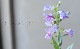 ڥ󥹥ƥ󡡡إإ֥꡼֥롼 